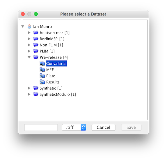 selecting a dataset in the UI